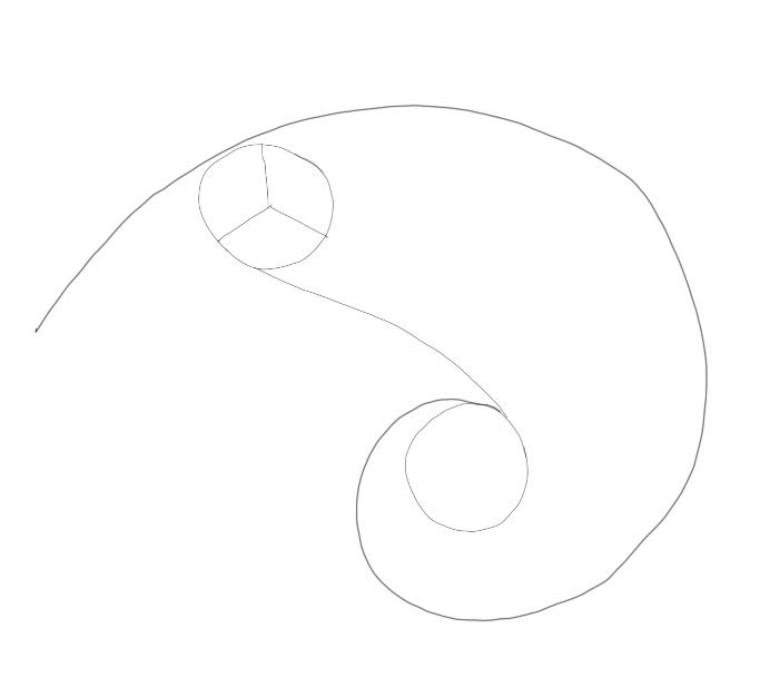 spirale d'or