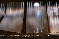 light wind 24 light wind 24