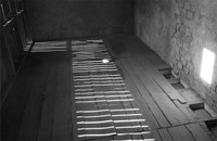 Light reflection  Light reflection